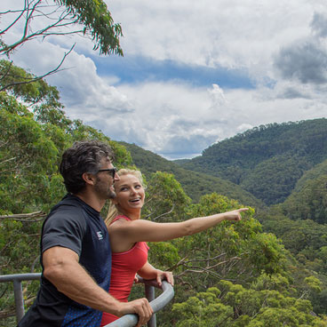 Rainforest Walking Tour 